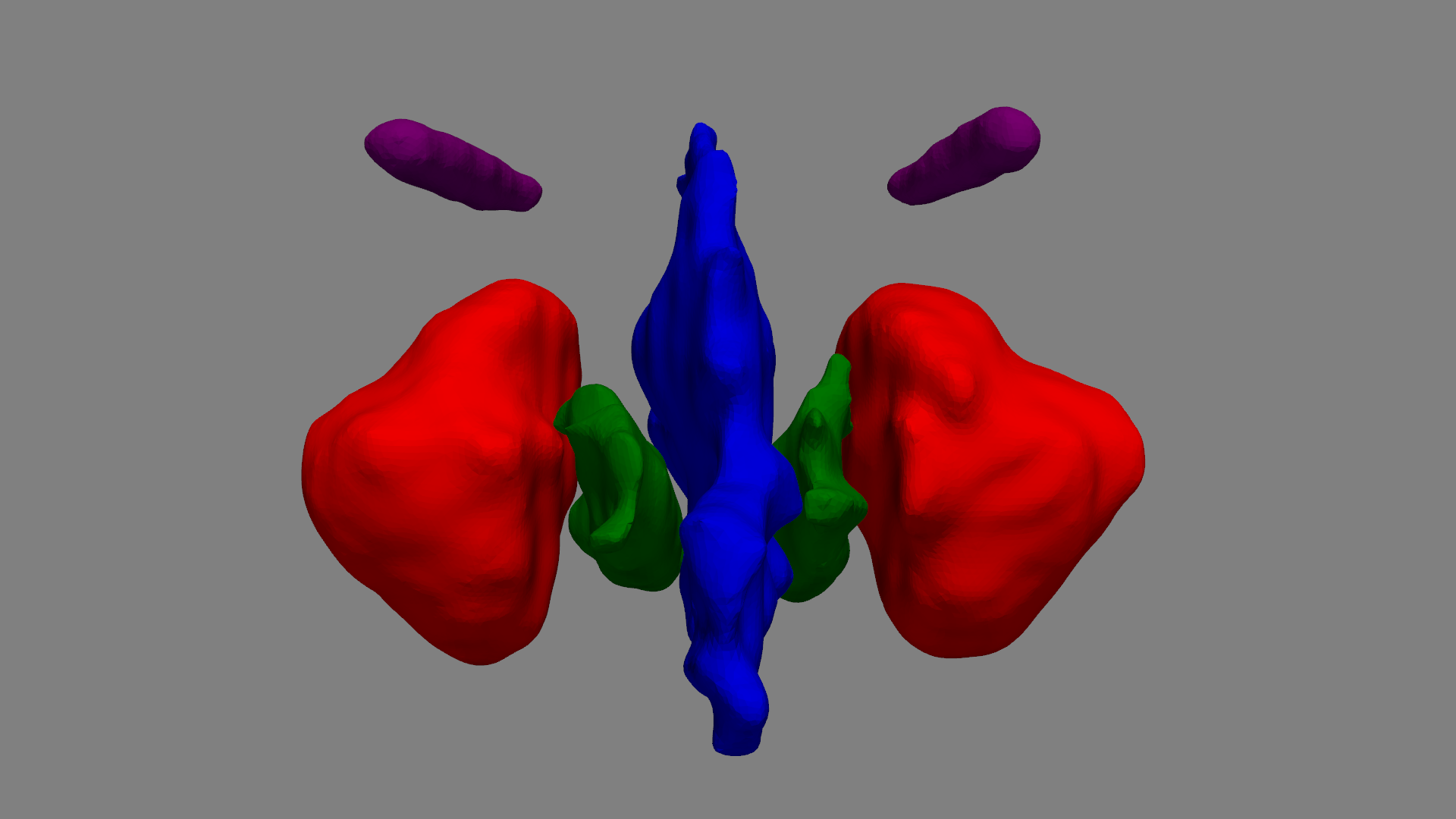 3D View of Septum, MS, IT, and ON